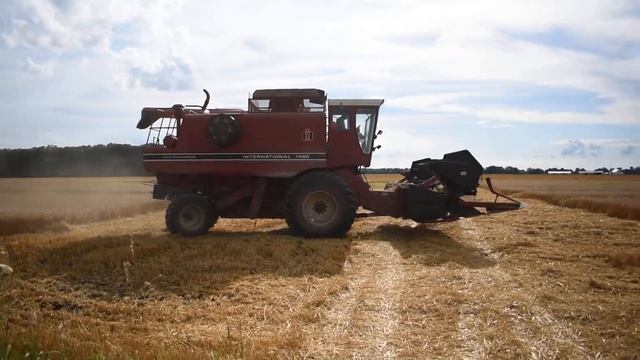 International 1460 Combine - CASE 1020 - Hay Harvesting in Superior Charter Township - Michigan