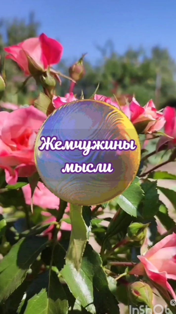 Безумно люблю. Сергей Сухачев.
