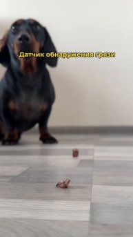 Новейшая технология Dyson