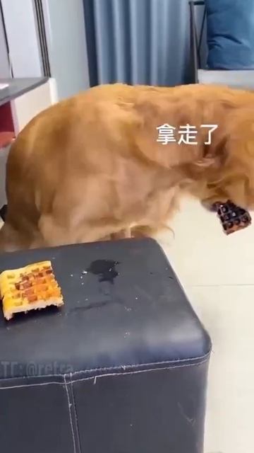 1000072873.mp4
