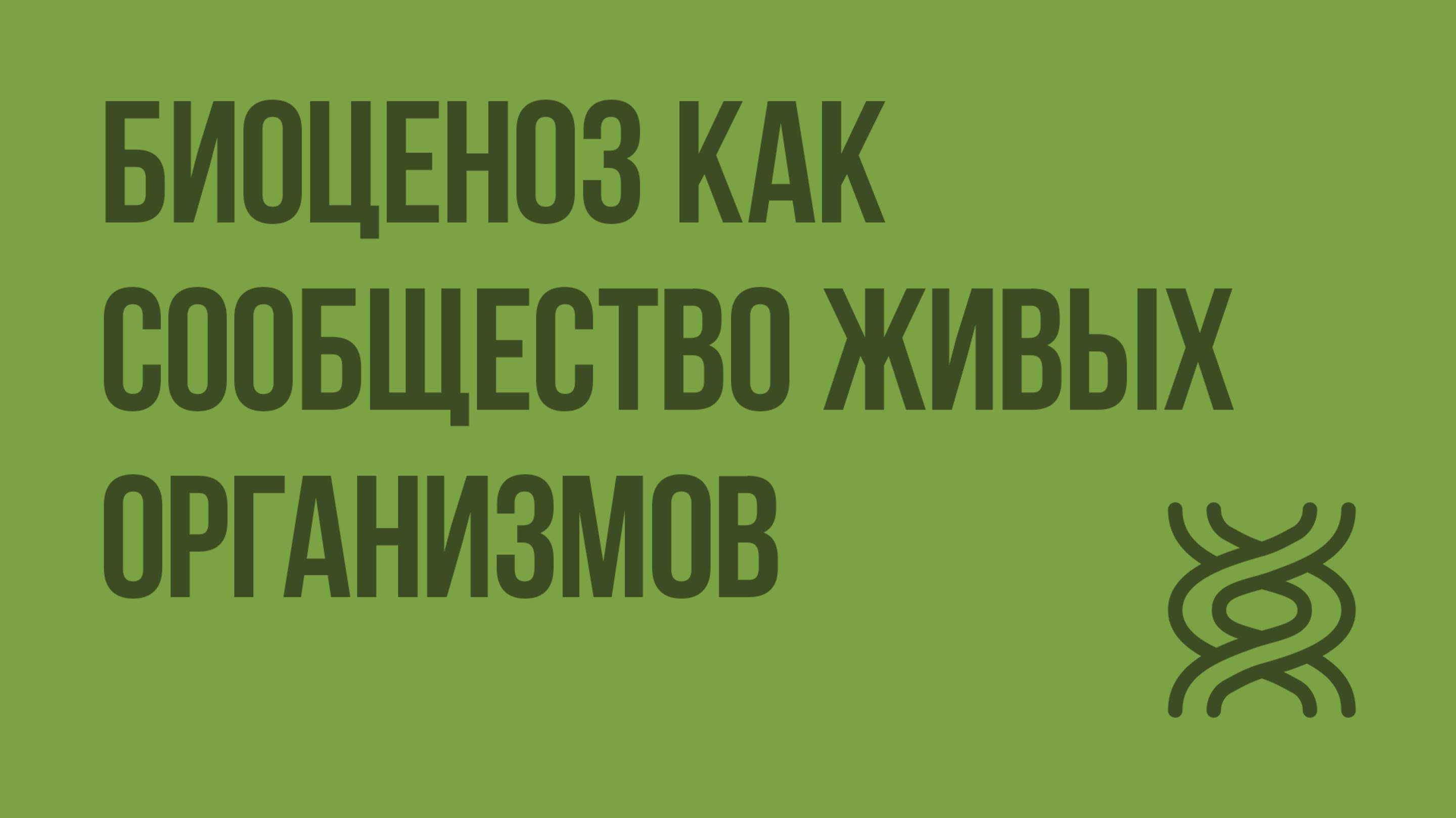 Биоценоз как сообщество живых организмов. Видеоурок по биологии 9 класс