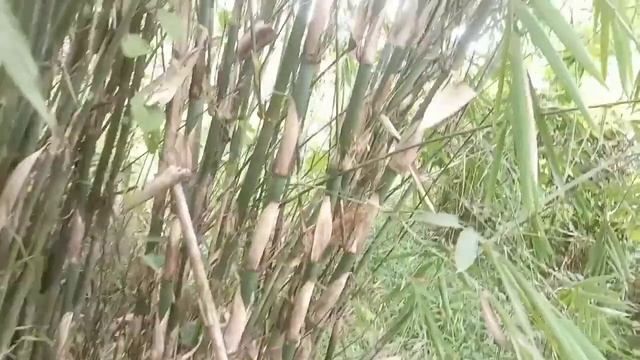 3 tanda ini, membuat saya lari dari lokasi