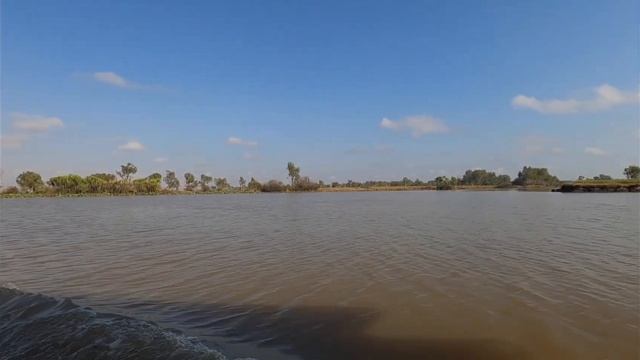 Kakadu