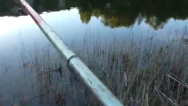 Рыбалка в начале лета (окунь)