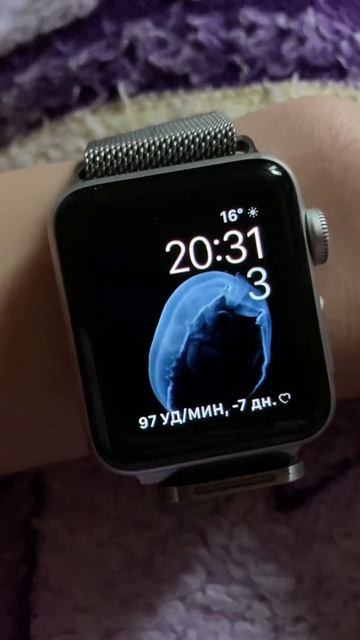 Apple Watch series 3