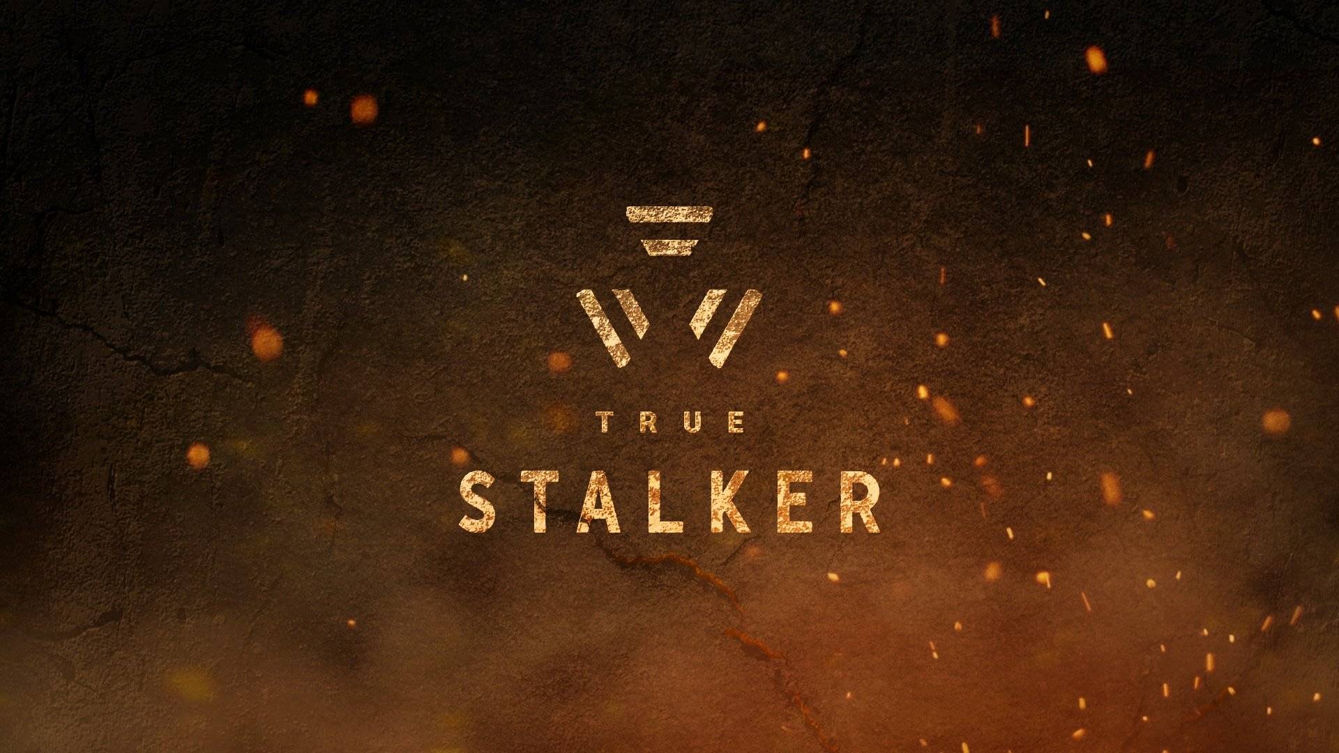 S.T.A.L.K.E.R - True Stalker ВСПОМИНАЕМ ПРОШЛЫЕ МОМЕНТЫ