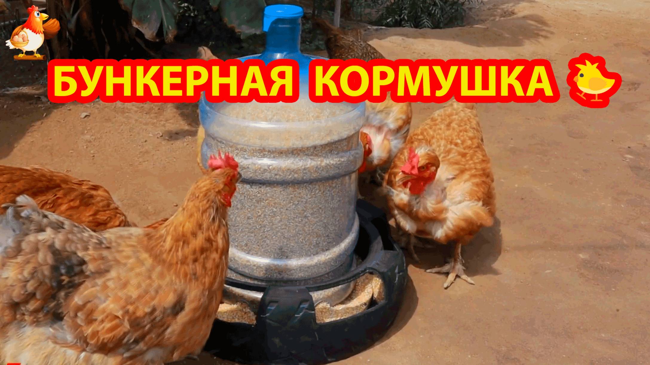 Кормушка из шины и бутыли от кулера 🐓💦❣️