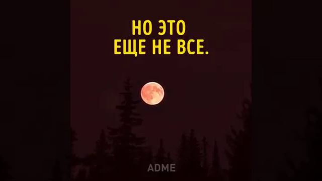 27 июля
