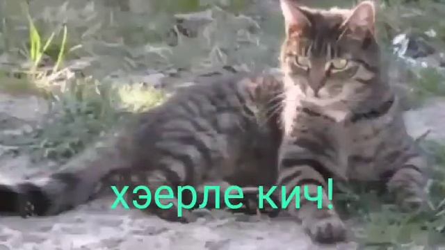 27 января 2021 г. 9:35