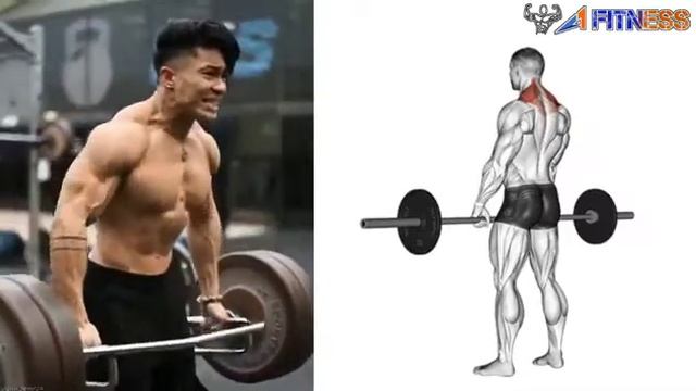 6 best exercise for shoulder-A1 FITNESS