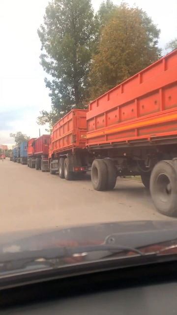 Зерновозы КАМАЗ и МАЗ (В очереди на погрузку Семян)