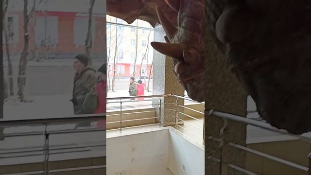 #мурманск Вот такой Дракон обитает в ТЦ "Детский мир" на Ленина, 48. 🐉