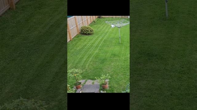 Time To Cut The Grass | Luba 3000 AWD | Timelapse | Bill Buys
