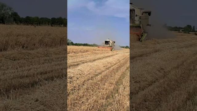 CLAAS DOMINATOR 260
