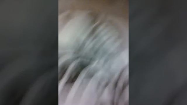 Мистер Макс телешоу Мистер Даша Мистер Лёша Всё Всем пока Обнинск обнимешь обнимешь камнеежка