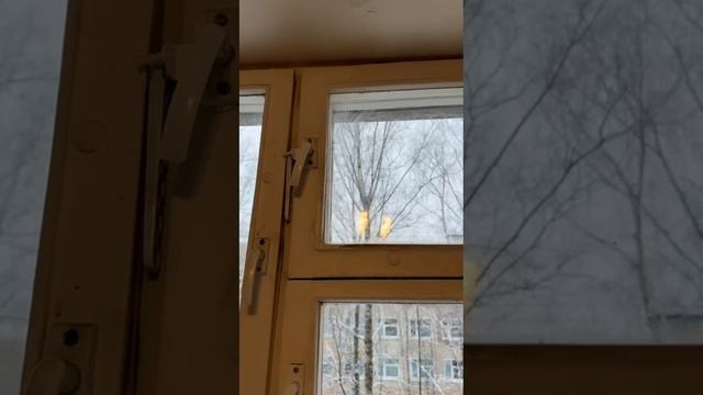 Видео WhatsApp 2025-02-05 в 11.14.55_6c294b97