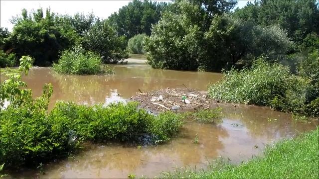 Šta to plovi rekom Ravanicom