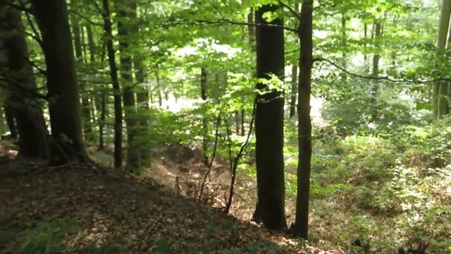 Odenwald Radtour 57 km mal laut nach gedacht