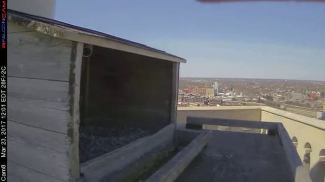 Camera 8 - 03/23/17