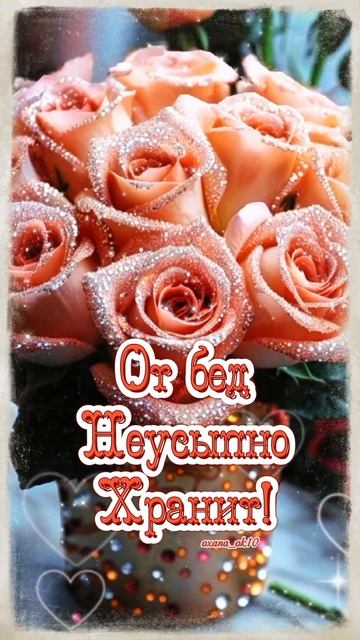 #сднемангелаксении