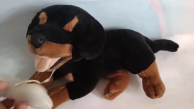 Музикално куче с кокал