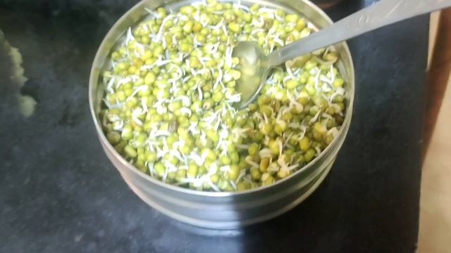 Weightloss Challenge/Day- 24 ,25,& 26 My Weight? What i eat? #twinklingkitchen #diet #healthydiet