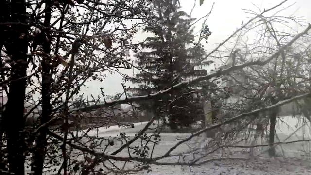 После обеда выпал снег / it snowed in the afternoon