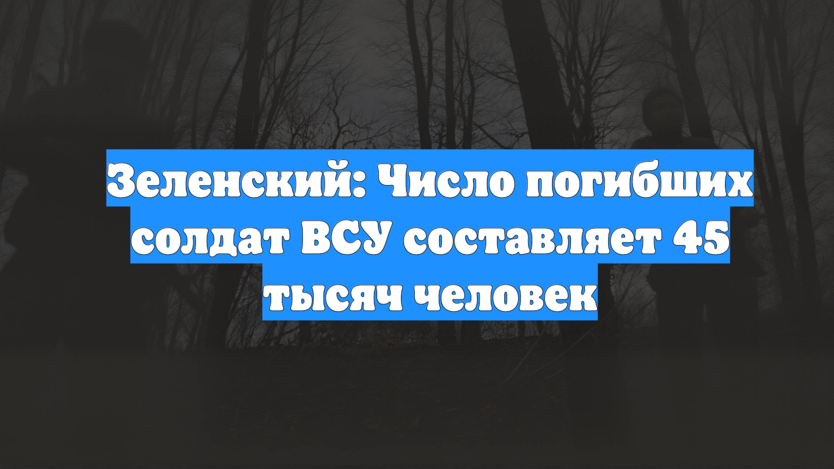 Зеленский: Число погибших солдат ВСУ составляет 45 тысяч человек