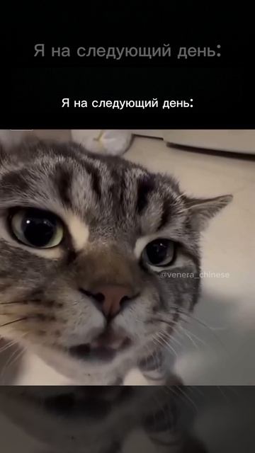 🇨🇳Открыт набор в группы!