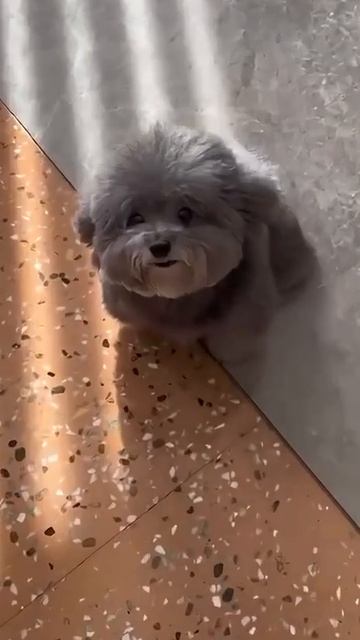 1000036317.mp4