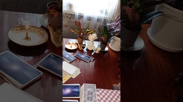 Таро.Внимание для вас.