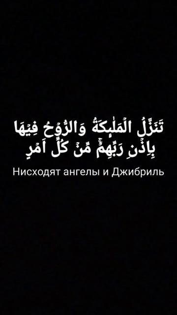 Сура "Аль-Кадр"  Мухаммад Люхайдан