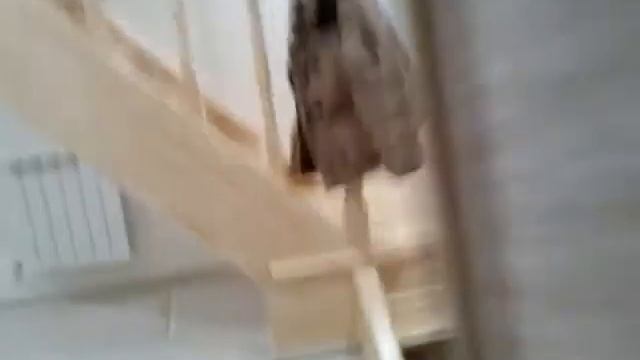 Нахабино. смт.Березка. Дом на продажу.