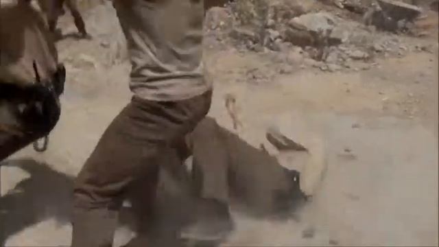 Scott Adkins (boyka) janglari