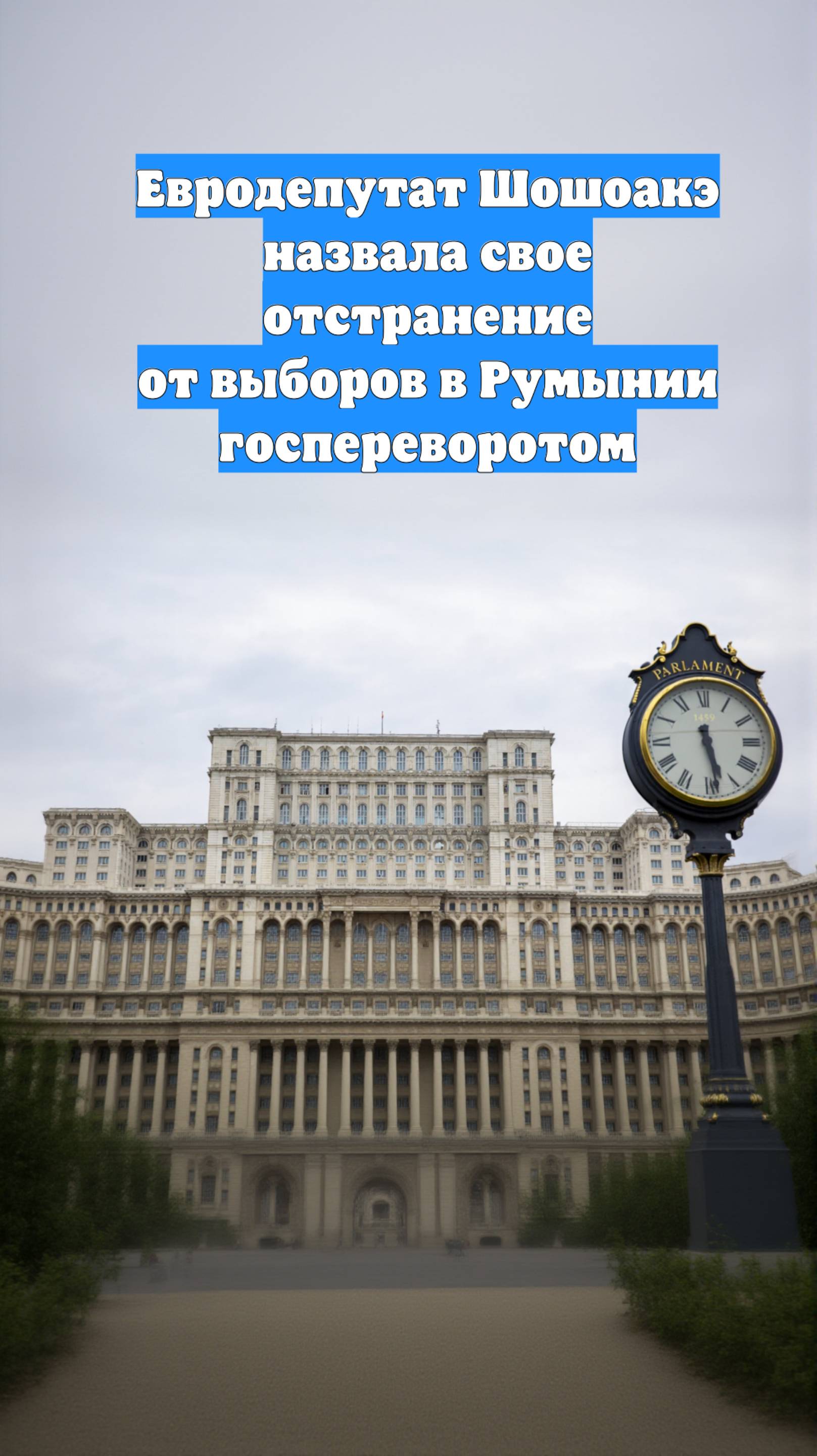 Евродепутат Шошоакэ назвала свое отстранение от выборов в Румынии госпереворотом