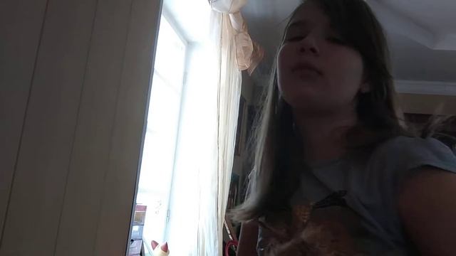 Сушка собаки