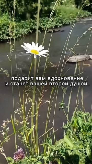 Инвестируй в свой ретрит-центр