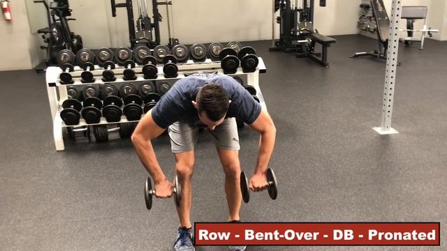 Row - Bent-Over - DB - Pronated | GRF Exercise Database