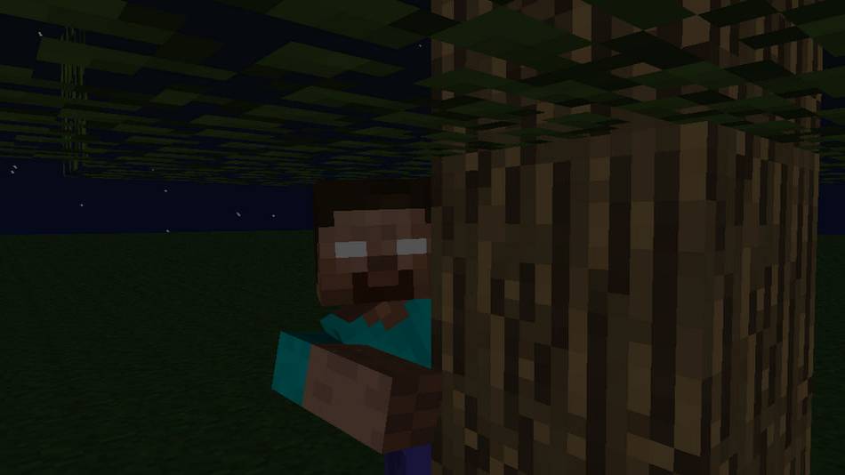 Minecraft ГДЕ ХЕРОБРИН???????(2часть)