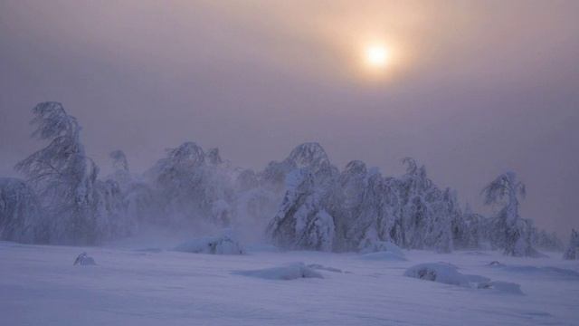 В. Червов_Белый Вальс (ст. А.Скиба)