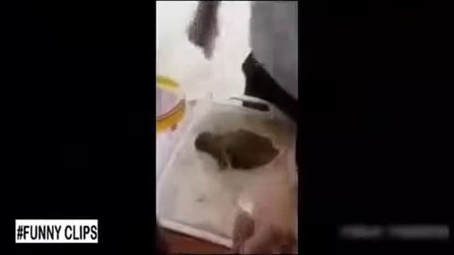 Самые быстрые работники в мире