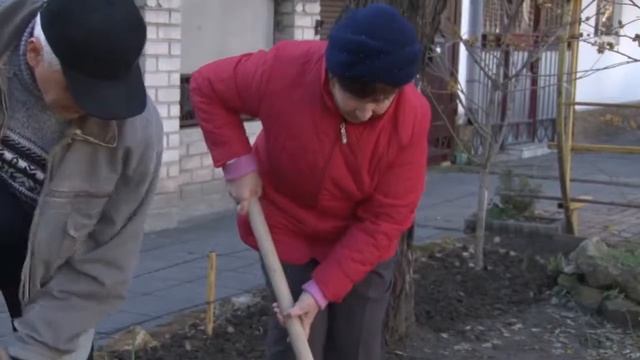 В рамках акции «Зеленая Анапа» на улицах города высадили более полутора сотен деревьев