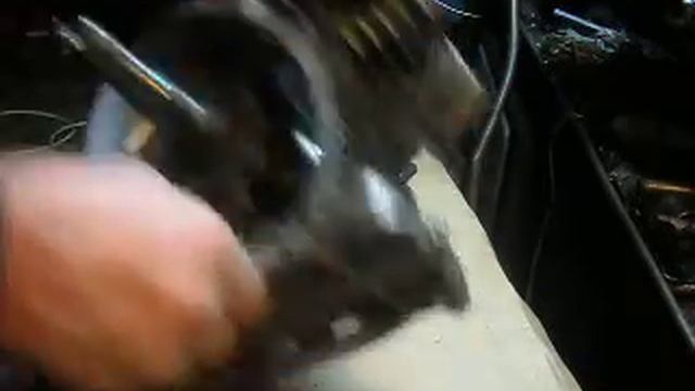 SDC13956