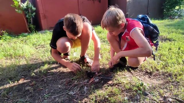 Входящий звонок в Скрайп 1 час