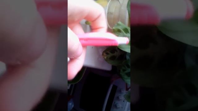 19 сентября 2017 г.