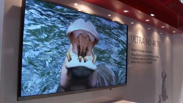 UltraHD - Highlights: 2014 CES