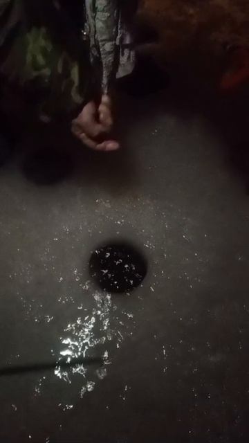05-02-2025