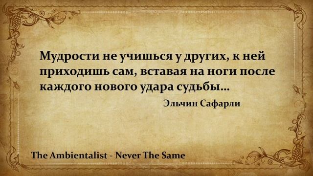 The Ambientalist GIF