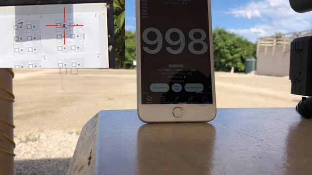 LESHIY-2 / .25cal / 350mm