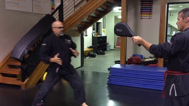 The Pit Martial Arts: The Whip Kick